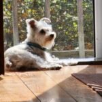 Bella Grace Midyette